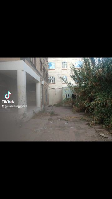 محمد