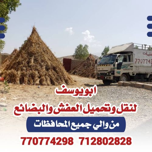 ابو يوسف