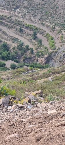 Free land for sale