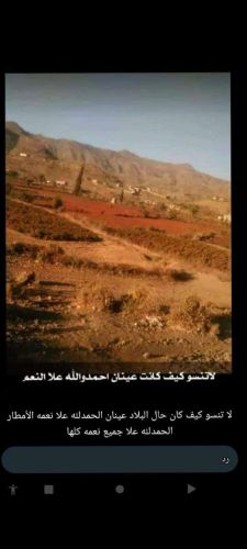 ناصر علي محمد ناصر الخولاني