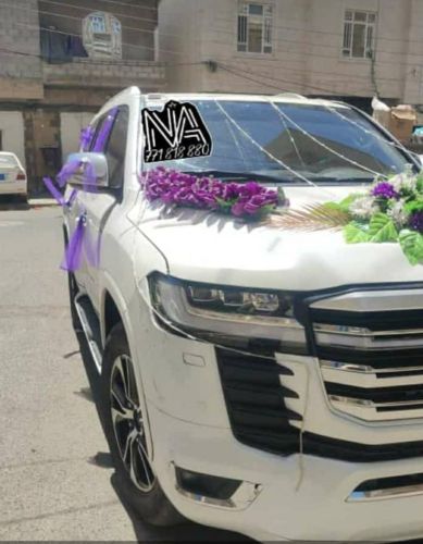 صوالين_لكزز_بردو_رفور_توسان_يارس