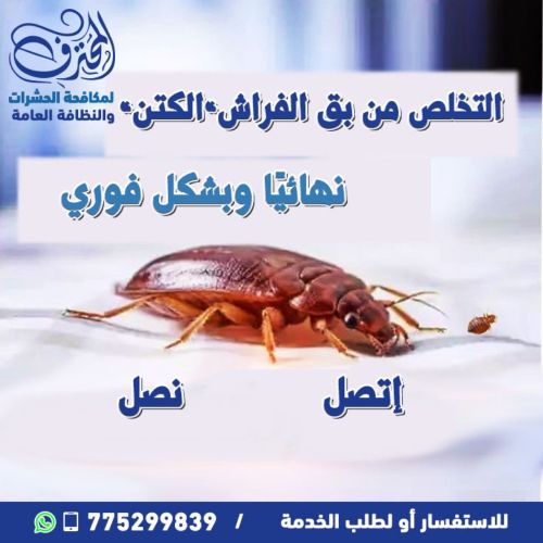 وداعًا للكتن"بق الفراش"