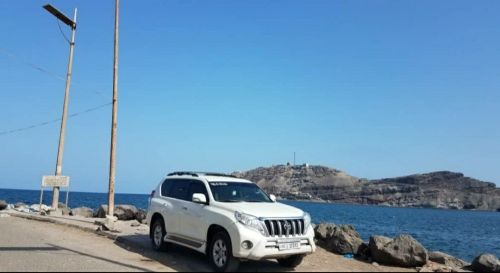تأجيرسيارات الزين يومي اسبوعي شهر