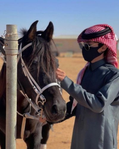 انا سواق لديا مهارات في البيع