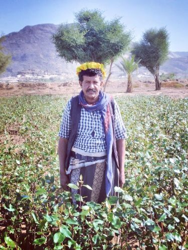 ابو علي للمقاولات البنا وقيص وبلك