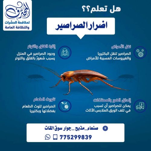 هل تعاني من الصراصير؟؟؟