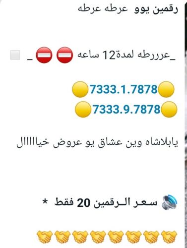 رقمين 73 ملكي وفخامة