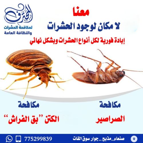 وداعًا للحشرات المنزلية