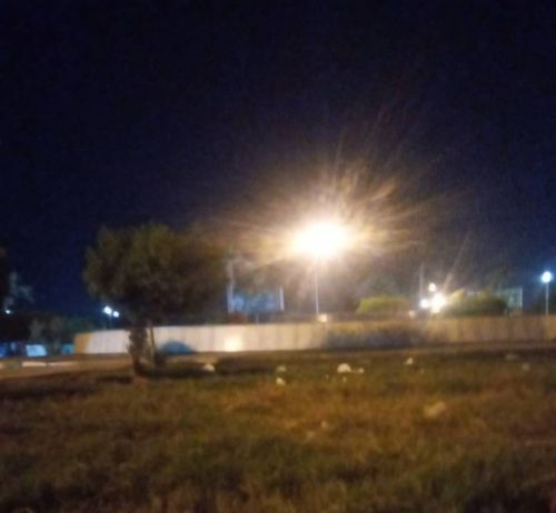 زراعه وتزين الحدائق والمنتزهات