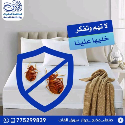 معنا لامكان للحشرات المنزلية