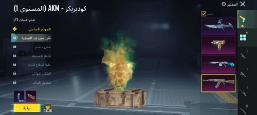 حساب ببجي موبايل العالميـة عرطة