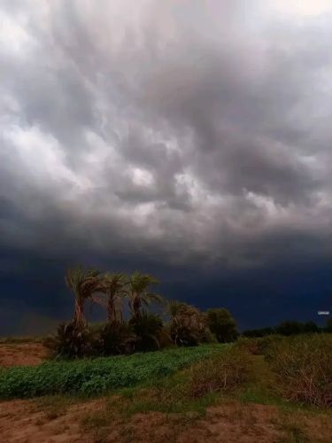 الذي حق زراعه يتواصل معي