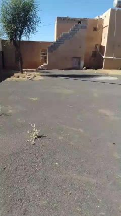 بيت مع الحوش للايجار