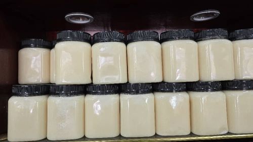 عسل الصورب الأبيض