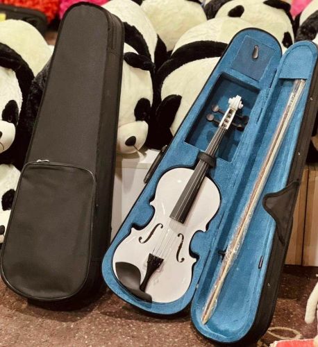 Violin Classic & Electric