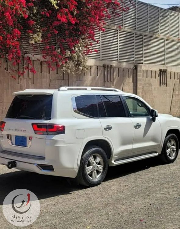 الزين كارز لتاجير السيارات