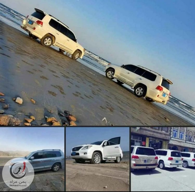 الزين كارز لتأجير جميع السيارات