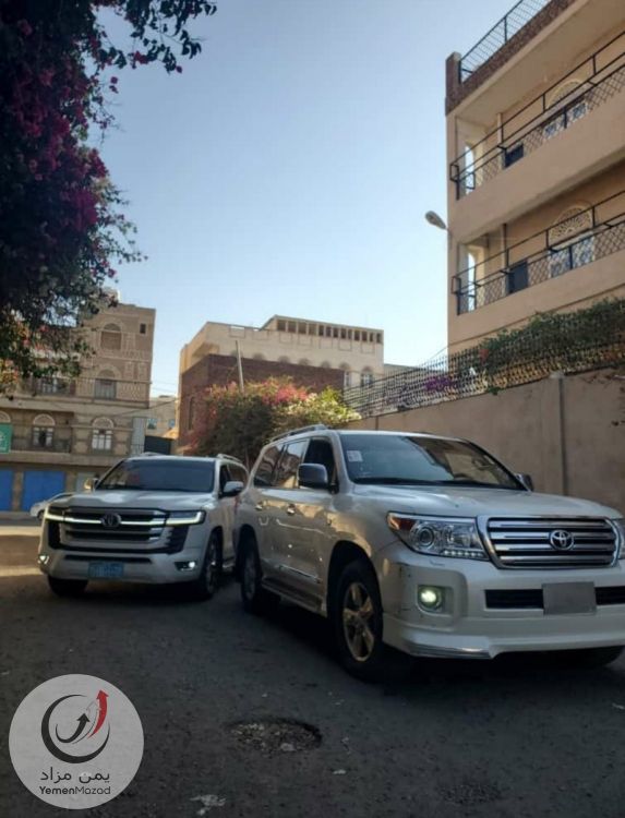 الزين كارز لتأجير السيارات يومي