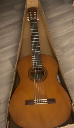 Classic & Acoustic Guitar