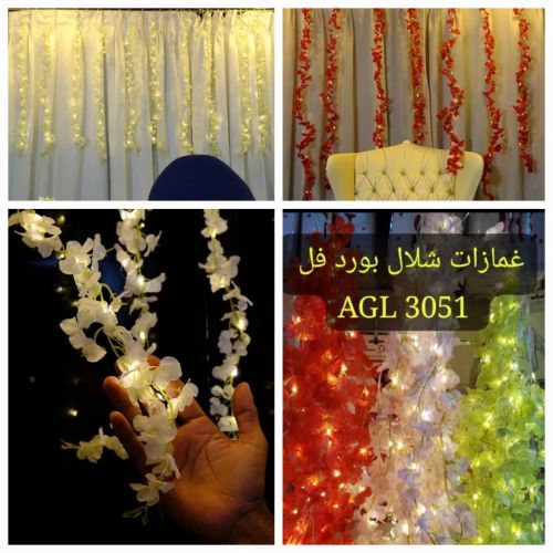 وصل الرهيب والعجيب 
غماز الأحلام