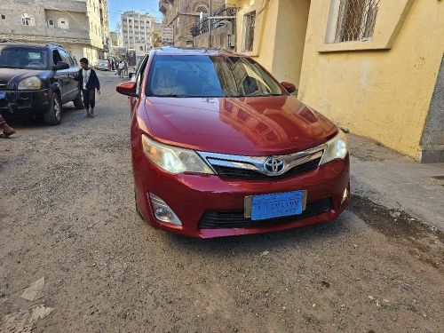 عاصم قاضي