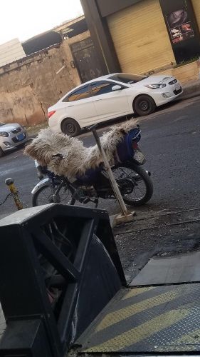 دراجة نارية استعمال شخصي سابحة