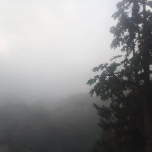 مطلوب المتر في أسرع وقت