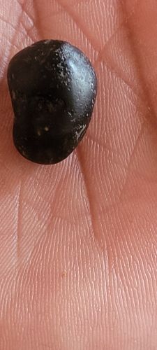 جوهره
