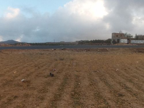 عبدالرحمن غزوان
