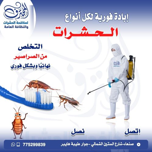 افضل شركة مكافحة الحشرات في صنعاء