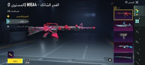 حساب بوبجي