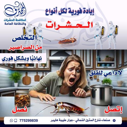 مكافحة الصراصير في صنعاء