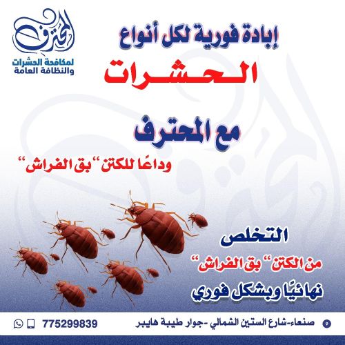 المحترف لمكافحة الكتن  في صنعاء