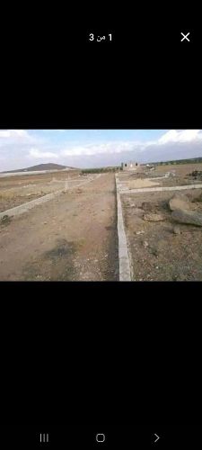 اريد لبنتين في صنعاء