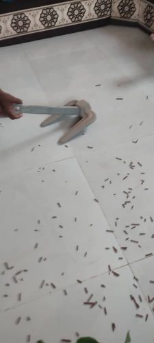 أدوات صيد وأدوات بحريه
