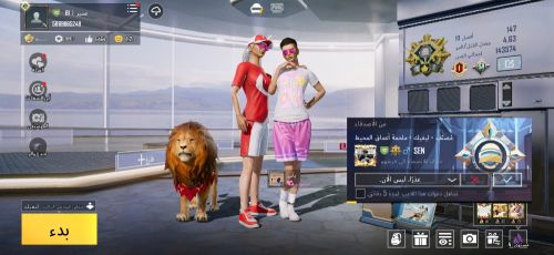 حساب ببجي للبيع
