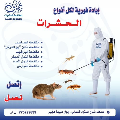 مكافحة الحشرات والقوارض في صنعاء