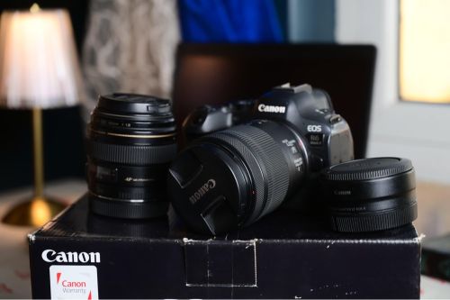 canon R6ii