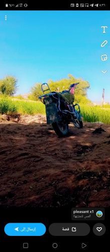 قسم الاعلان