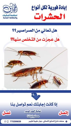 افضل شركة مكافحةالصراصير في صنعاء