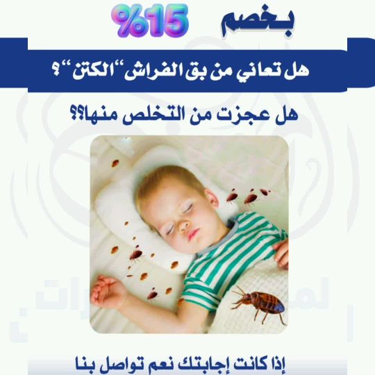 شكل حشرة الكتن"البق"والتخلص منه