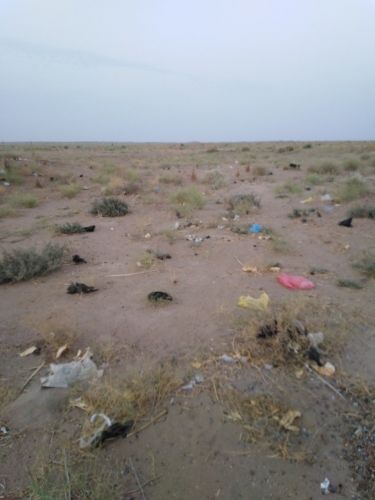 معروف