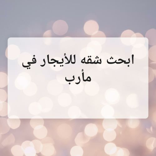 شقه للايجار في مأرب