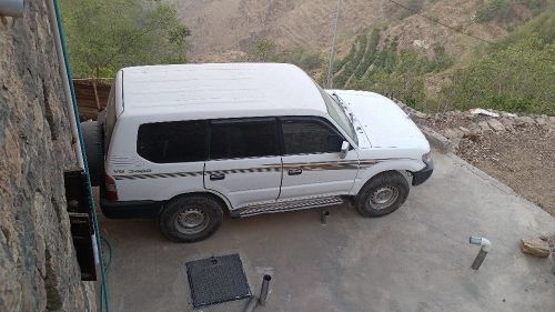 محمد بشر