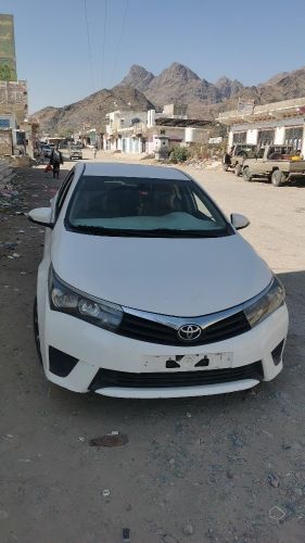 بوعمار