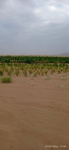 يتواصل 7828986072البنه8×8مربع