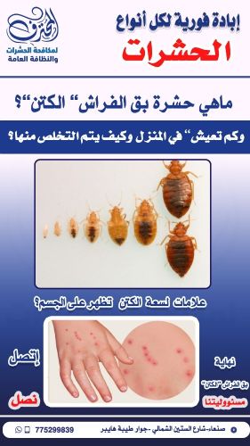 ما هي حشرة بق الفراش"الكتن"