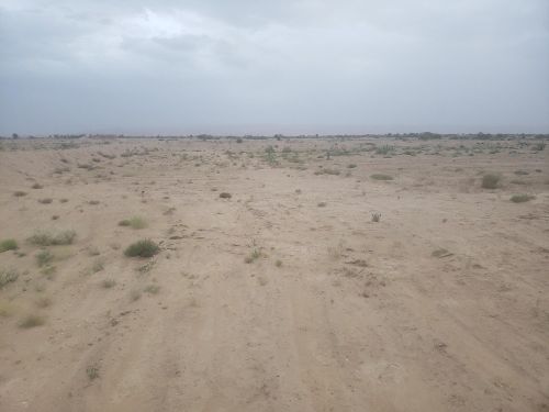 مزرعة للبيع في الجوف الغيل