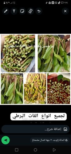 فخم