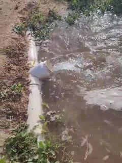 312 للايجار مزرعه